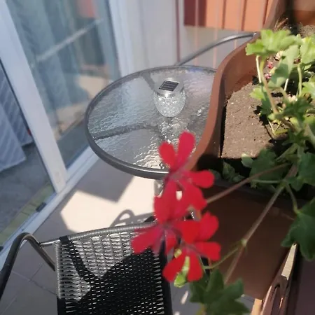 Homestay szállás Epiona Stepnica