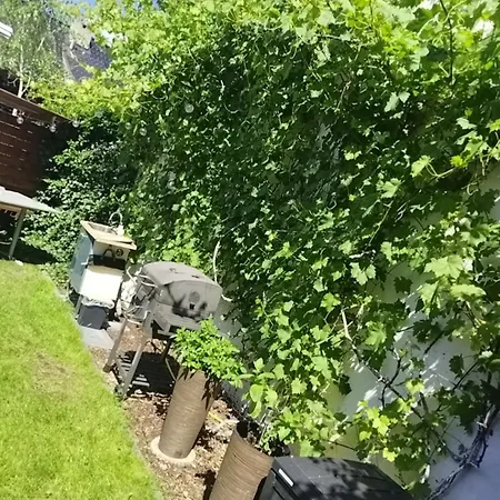 Epiona Homestay szállás Stepnica