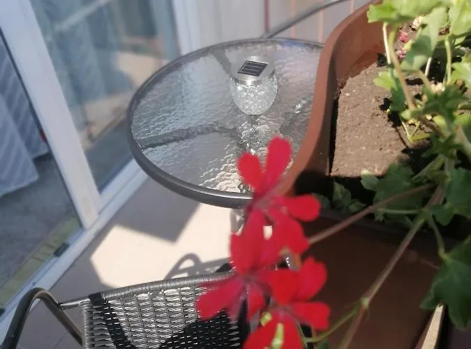 Homestay szállás Epiona Stepnica