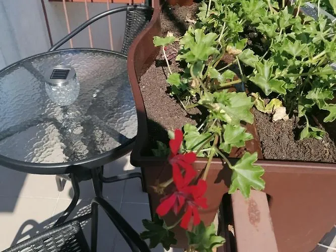 Epiona Homestay szállás Stepnica