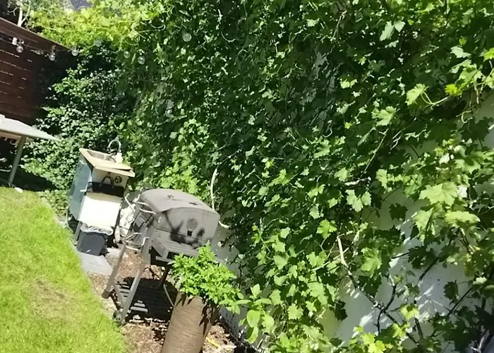 Epiona Homestay szállás Stepnica